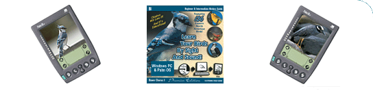 BirdSong Bytes Inc. Birds of temperate Eastern North America, Dawn Chorus I.