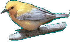 The BirdSongBytes Interactive Field Guide on CD
